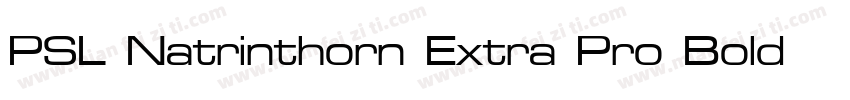 PSL Natrinthorn Extra Pro Bold Ital字体转换